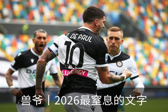 兽爷丨2026最窒息的文字