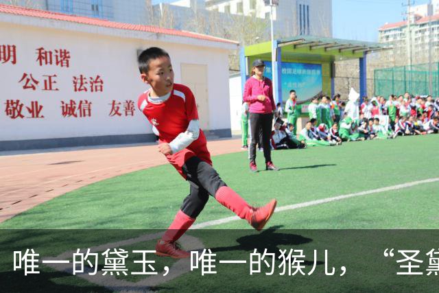 唯一的黛玉，唯一的猴儿，“圣黛CP”流行简史