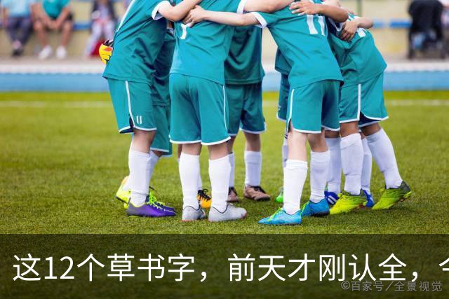 这12个草书字，前天才刚认全，今天就忘了5个——全认出来的是真功夫。草书的写法为什么一段时间不练习，就全忘了？